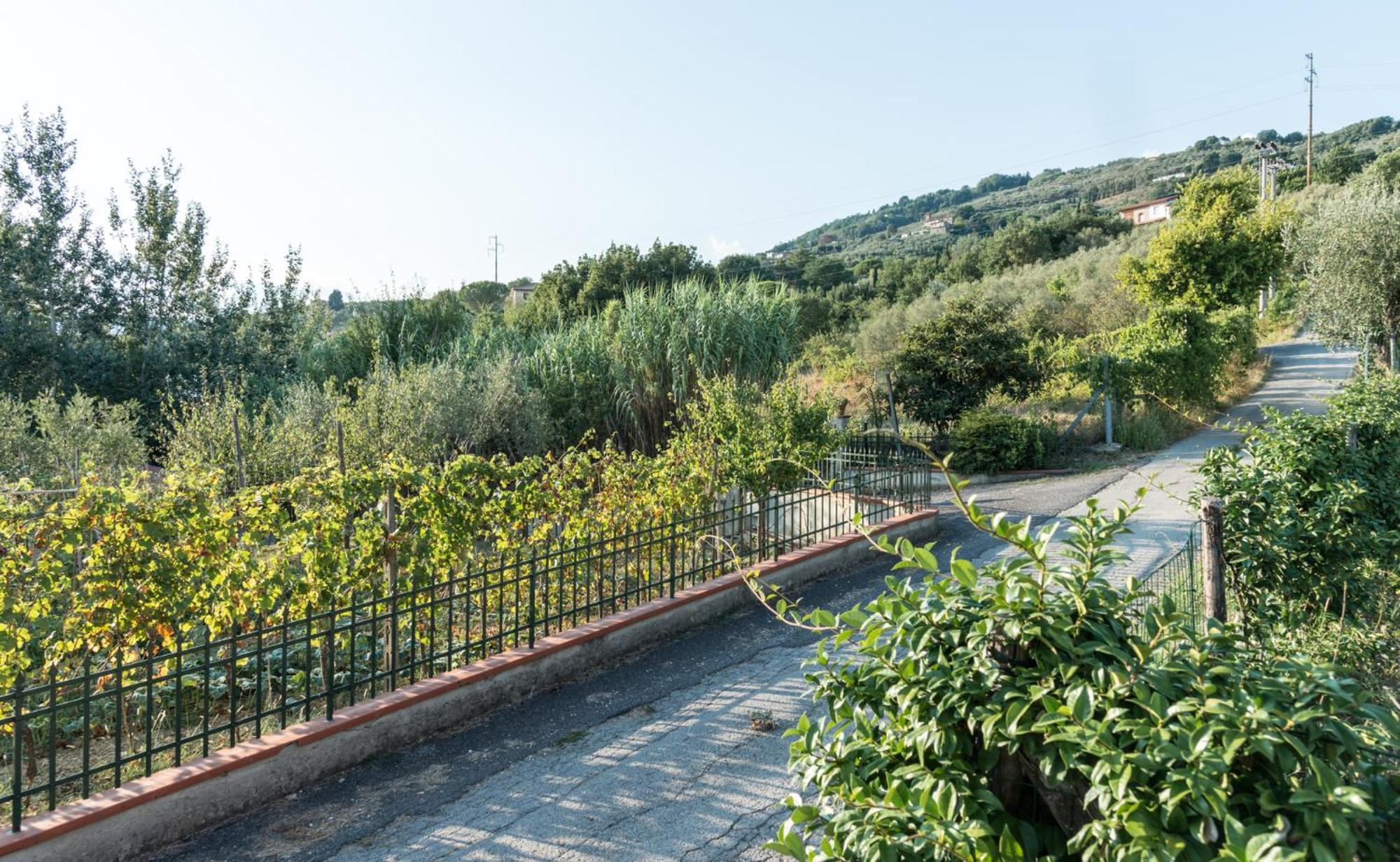 Fuga In Toscana Borgo a Buggiano Exteriér fotografie